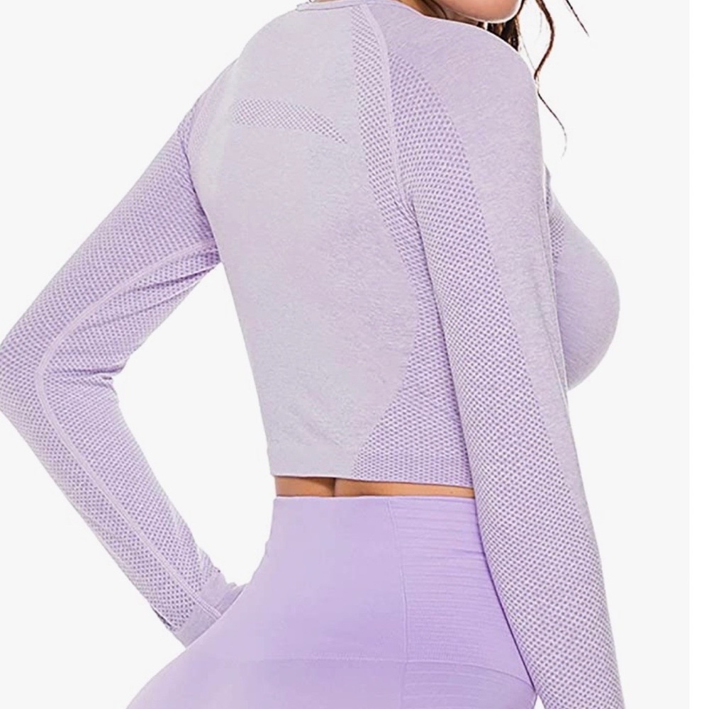 Lavender Long Sleeve Seamless Workout Crop Top